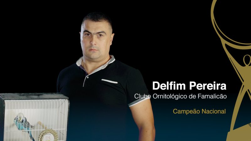 Delfim Pereira